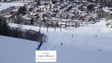Larice Bianco