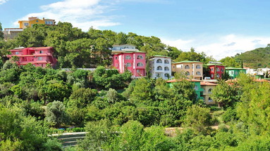 Larissa Green Hill (ex. Life Green Hill)
