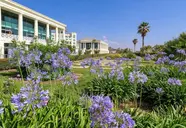 Las Arenas Balneario Resort
