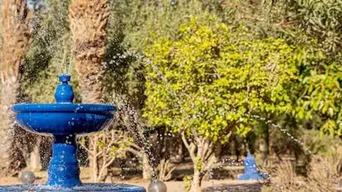 Las Palmeras (Marrakesz)
