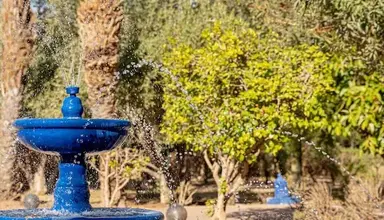 Las Palmeras (Marrakesz)