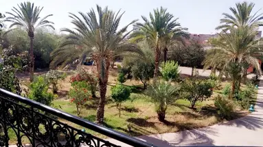 Las Palmeras (Marrakesz)