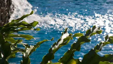Las Piramides (Playa de las Americas)