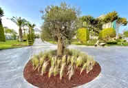 Laur Experience & Elegance