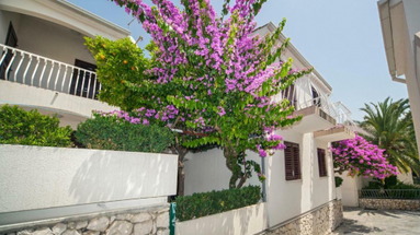 Lavica