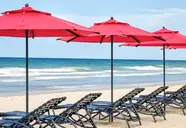 LD Plus Palm Beach