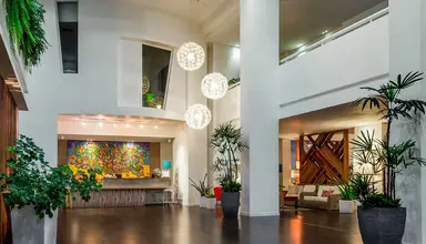 LD Plus Palm Beach