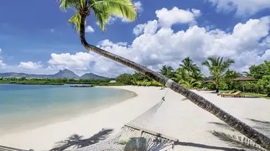 Le Bougainville