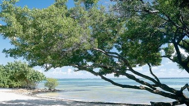 Le Cap Est Lagoon Resort