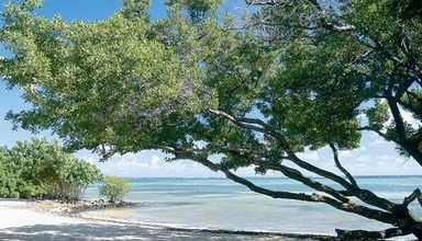Le Cap Est Lagoon Resort