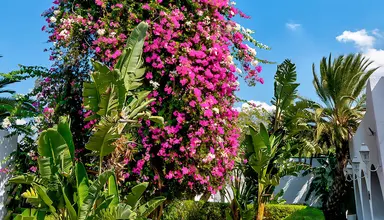 Le Hammamet Hotel & Spa