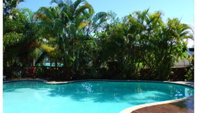 Le Jardin des Palmes