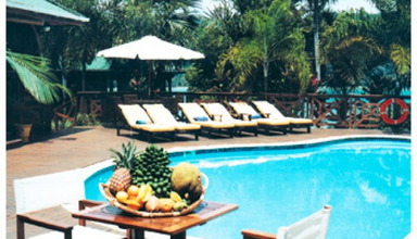 Le Jardin des Palmes