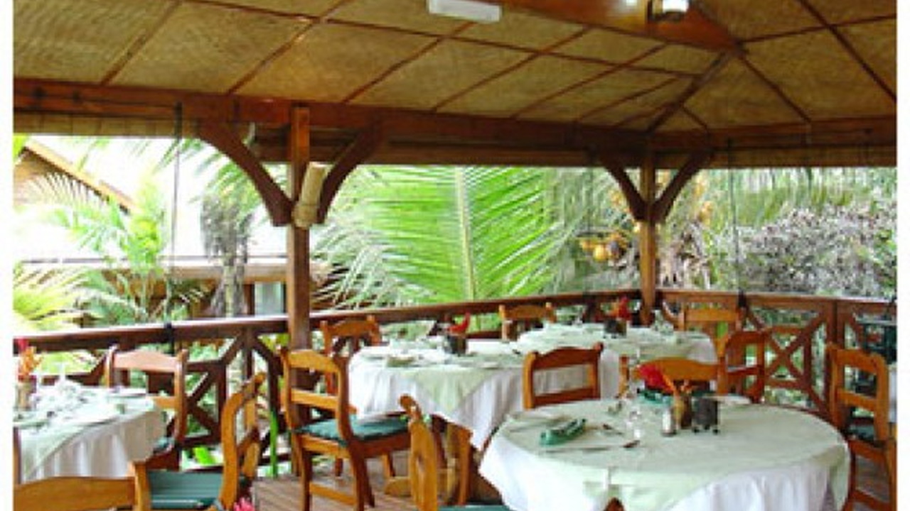 Le Jardin des Palmes
