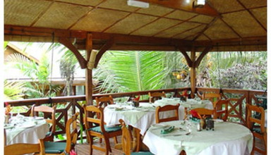 Le Jardin des Palmes