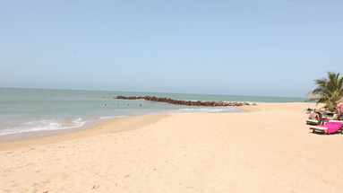 Le Lamantin