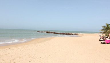 Le Lamantin