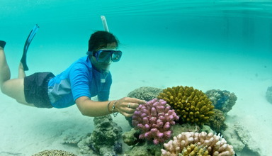 Le Meridien Bora Bora