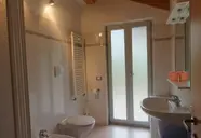 Le Plejadi