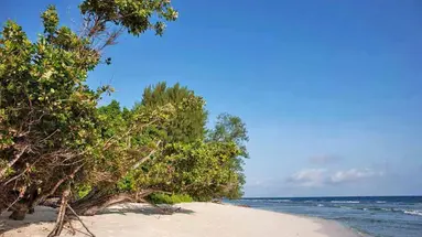 Le Relax Luxury Lodge