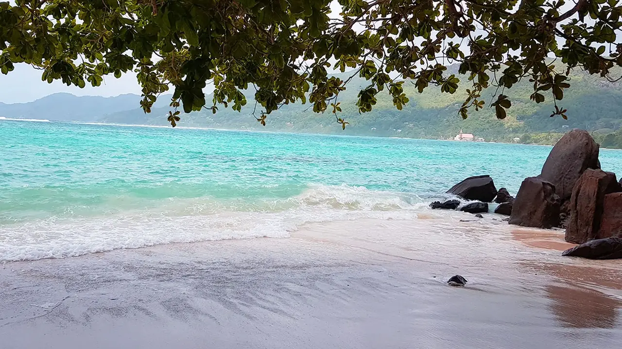 Le Relax