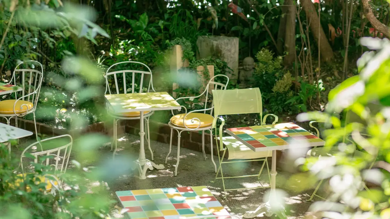 Le Windsor Jungle Art