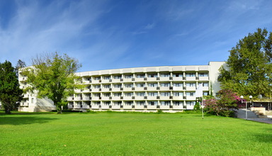Lebed