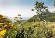 Lefay Resort & SPA