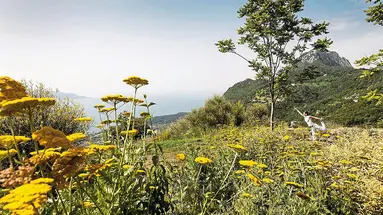Lefay Resort & SPA