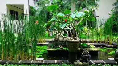 Legian Paradiso