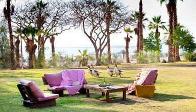 Leonardo Inn Dead Sea