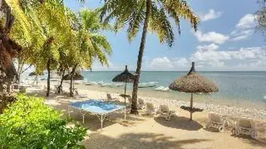 Les Cocotiers