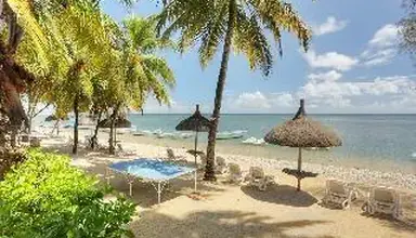 Les Cocotiers