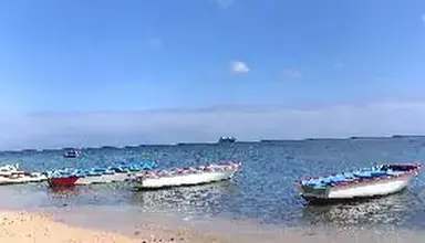 Les Cocotiers