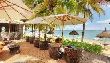 Les Cocotiers