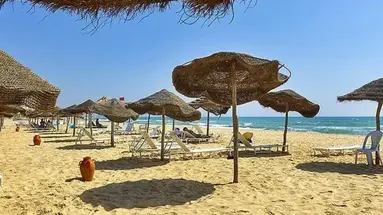 Les Colombes