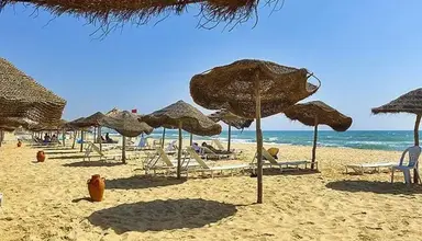Les Colombes