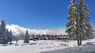 Les Domaines de l'Arselle