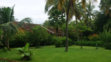 Les Filaos (Saly)