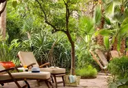Les Jardins de la Medina