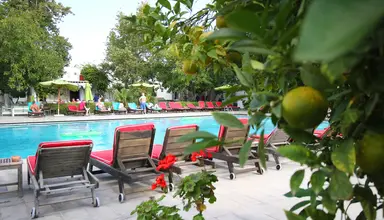 Les Orangers Beach Resort