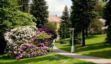 Lesni Zatisi