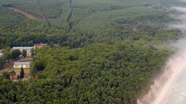 Leśnik