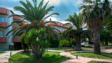 Lesvos Inn