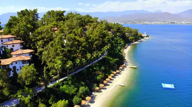 Letoonia Club