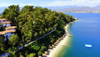 Letoonia Club