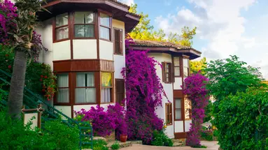 Letoonia Club