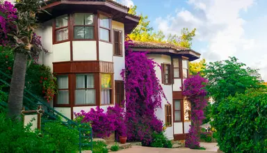 Letoonia Club