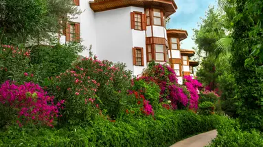 Letoonia Club