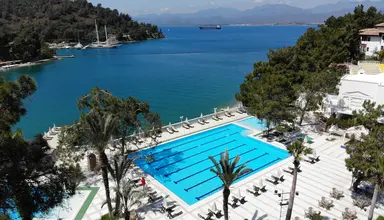 Letoonia Club